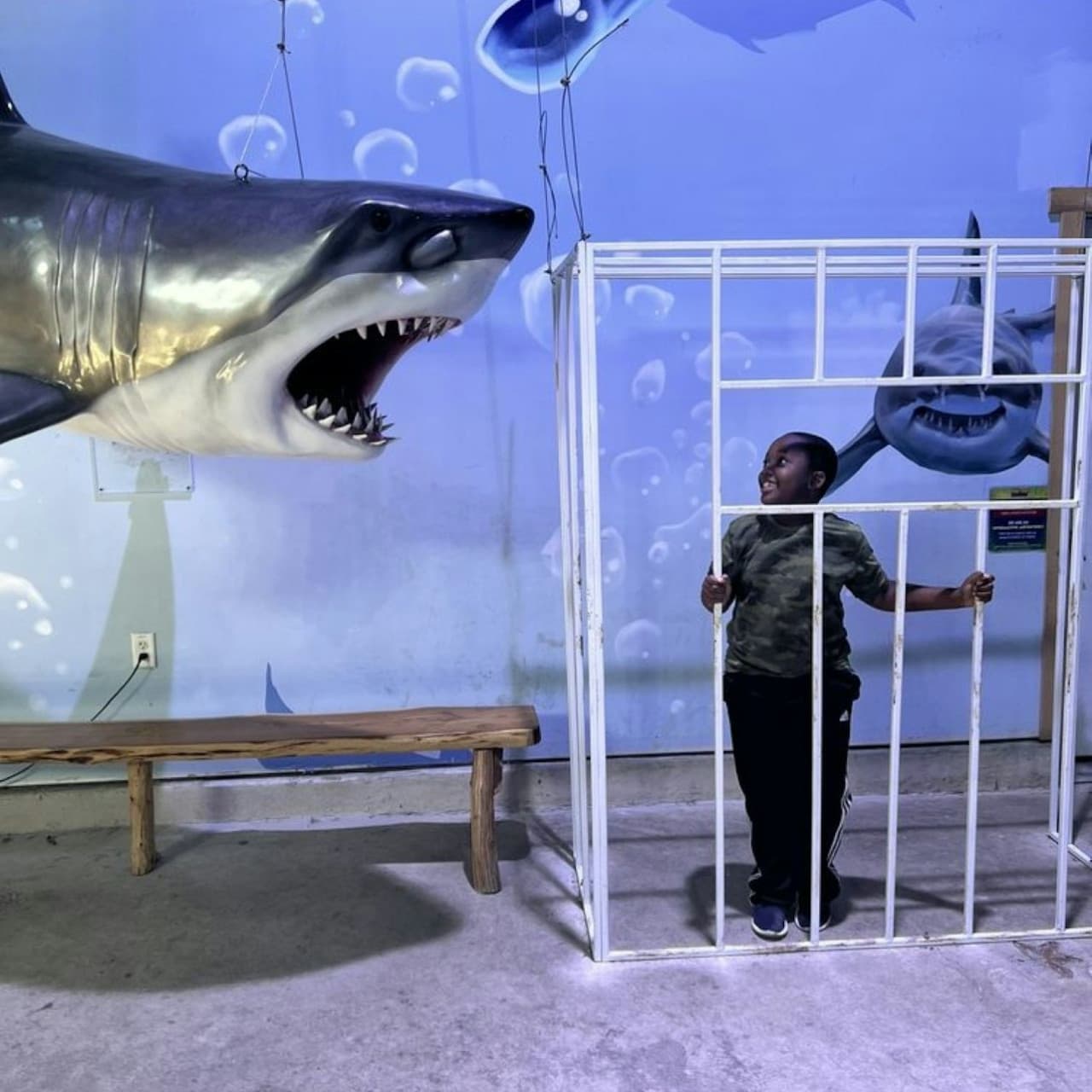 Houston Interactive Aquarium & Animal Preserve Ticket - تصویر 6