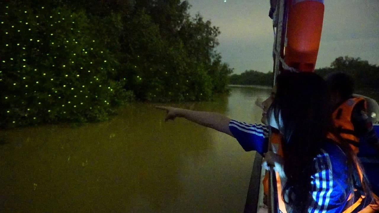 Fireflies Boat Cruise in Kuala Selangor - تصویر 2
