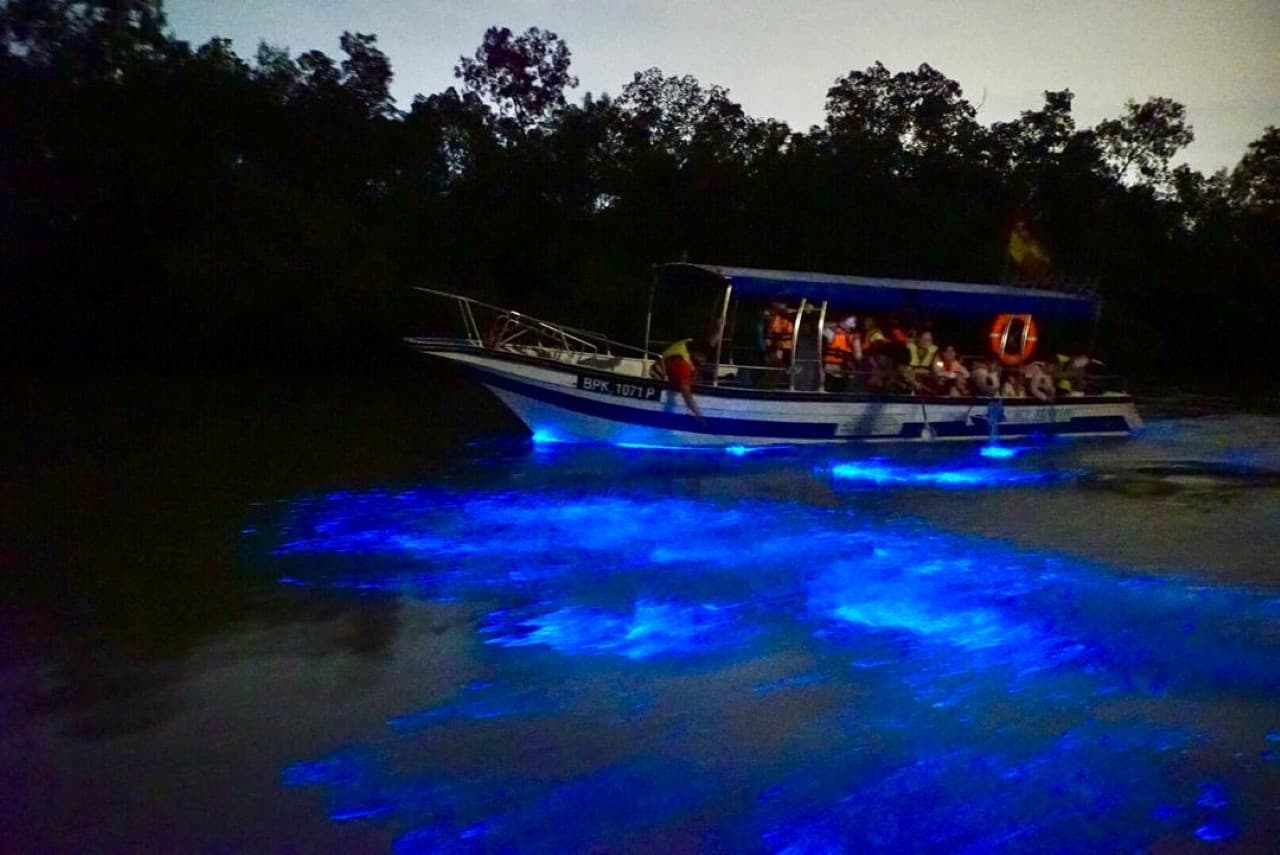 Blue Tears Boat Cruise in Kuala Selangor - تصویر اصلی