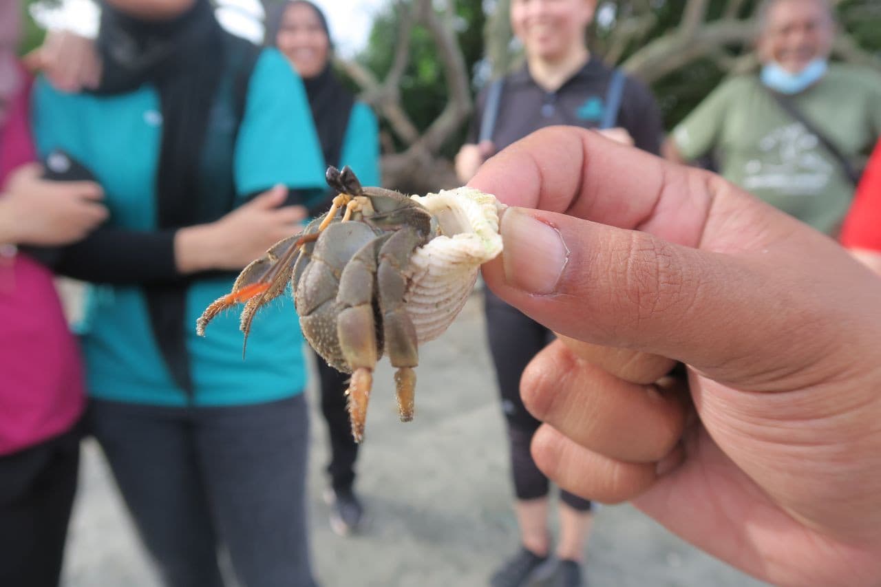 Desaru Beach and Tide Pool Walk - تصویر 5