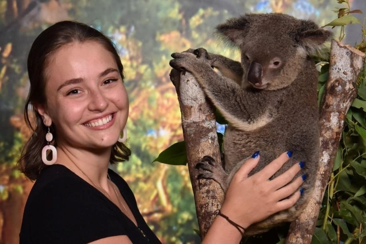 Cairns Koalas and Creatures at the Pier Ticket - تصویر اصلی