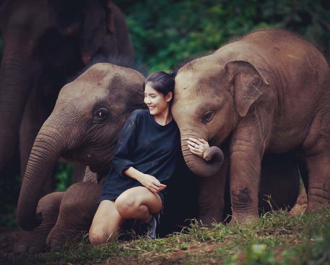 Elephant Jungle Sanctuary Chiang Mai - تصویر 8