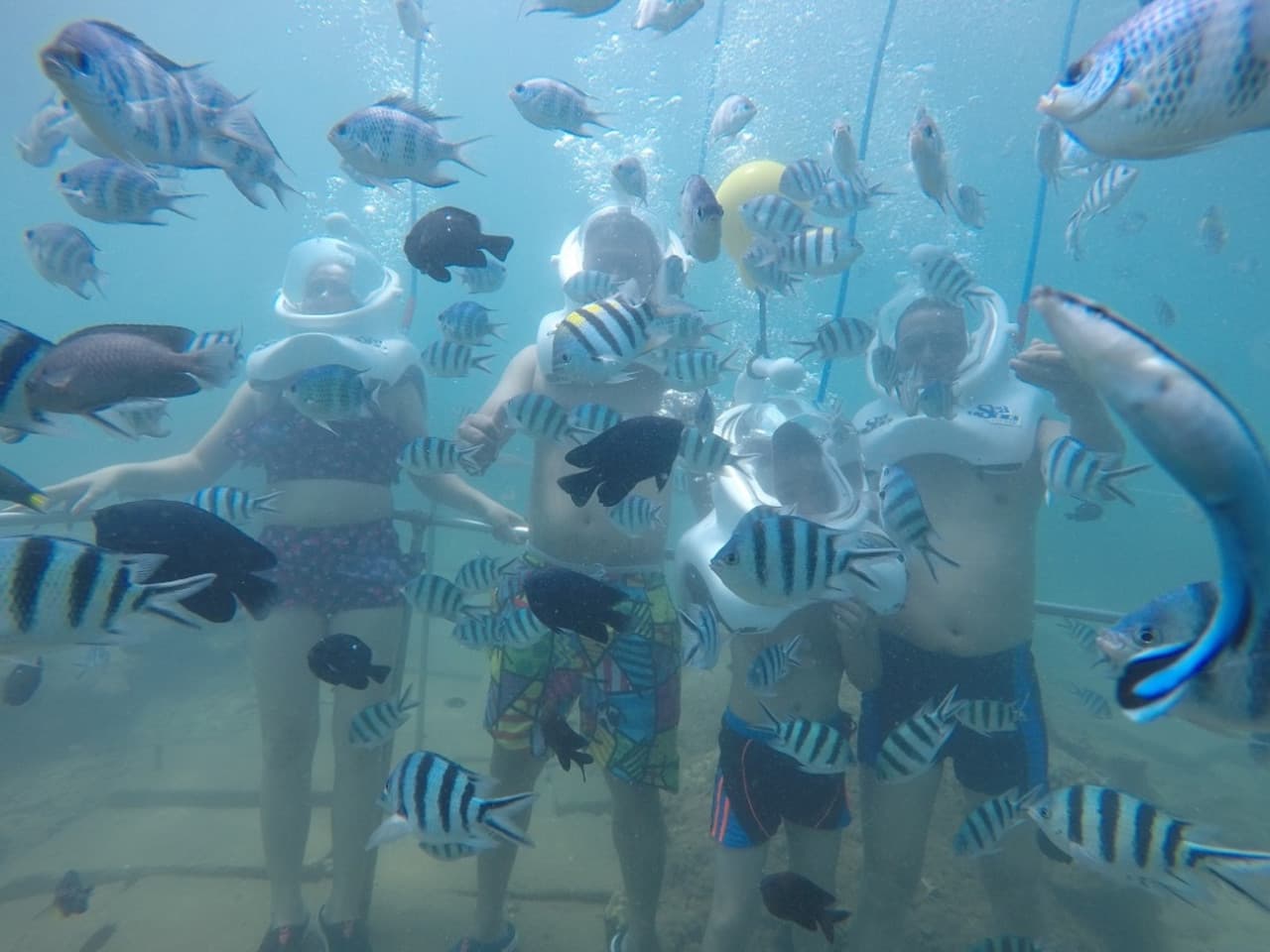 Cham Islands Underwater Walking and Snorkelling Half-Day Tour from Da Nang - تصویر 3