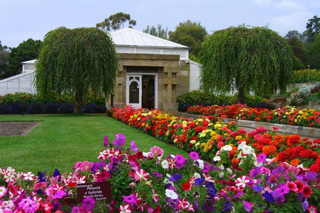 Sullivan's Cove and Hobart City Tour - تصویر 6