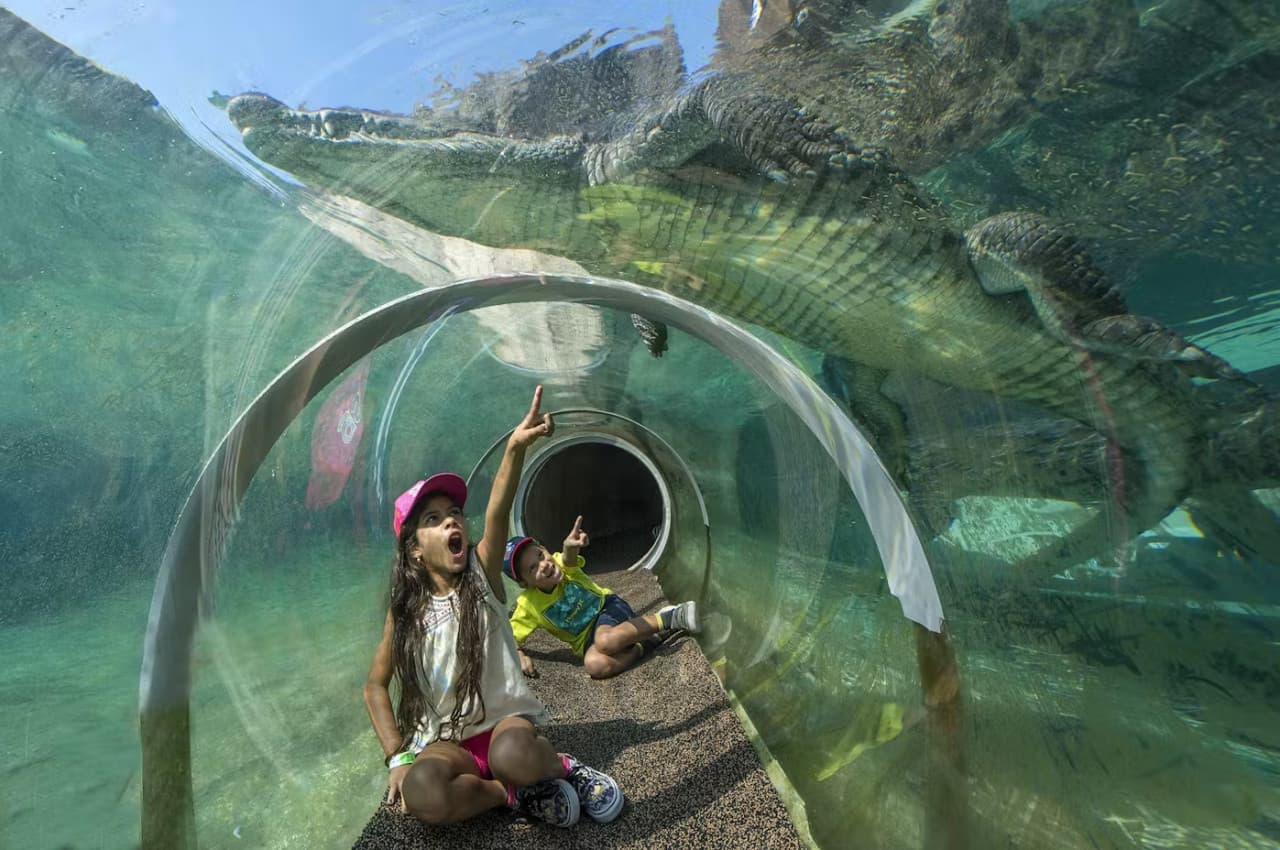 Zoo Miami Ticket - تصویر 2