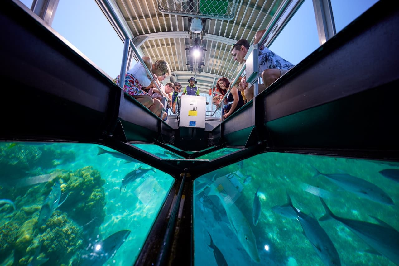 Green Island Reef Full-Day Cruise - تصویر 9
