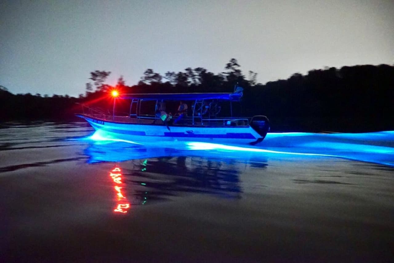 Blue Tears Boat Cruise in Kuala Selangor - تصویر 7