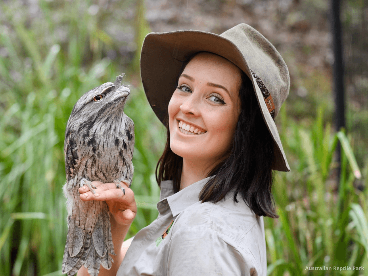 Australian Reptile Park - تصویر 41