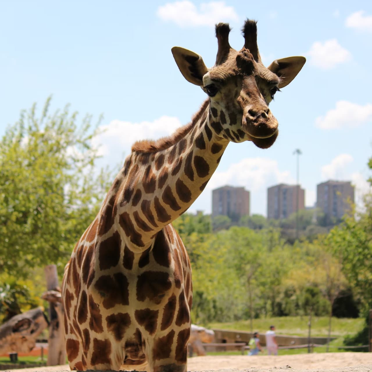 Zoo Aquarium Madrid - تصویر 2