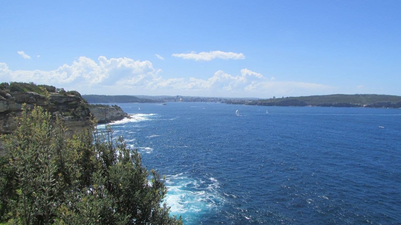 Watsons Bay Walking Tour - تصویر 5