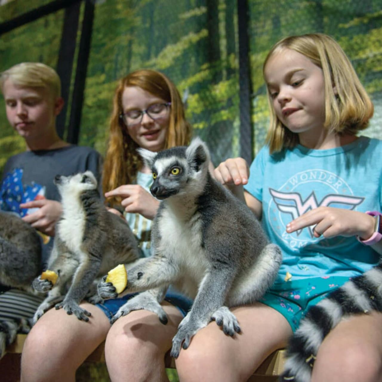 Houston Interactive Aquarium & Animal Preserve Ticket - تصویر 3
