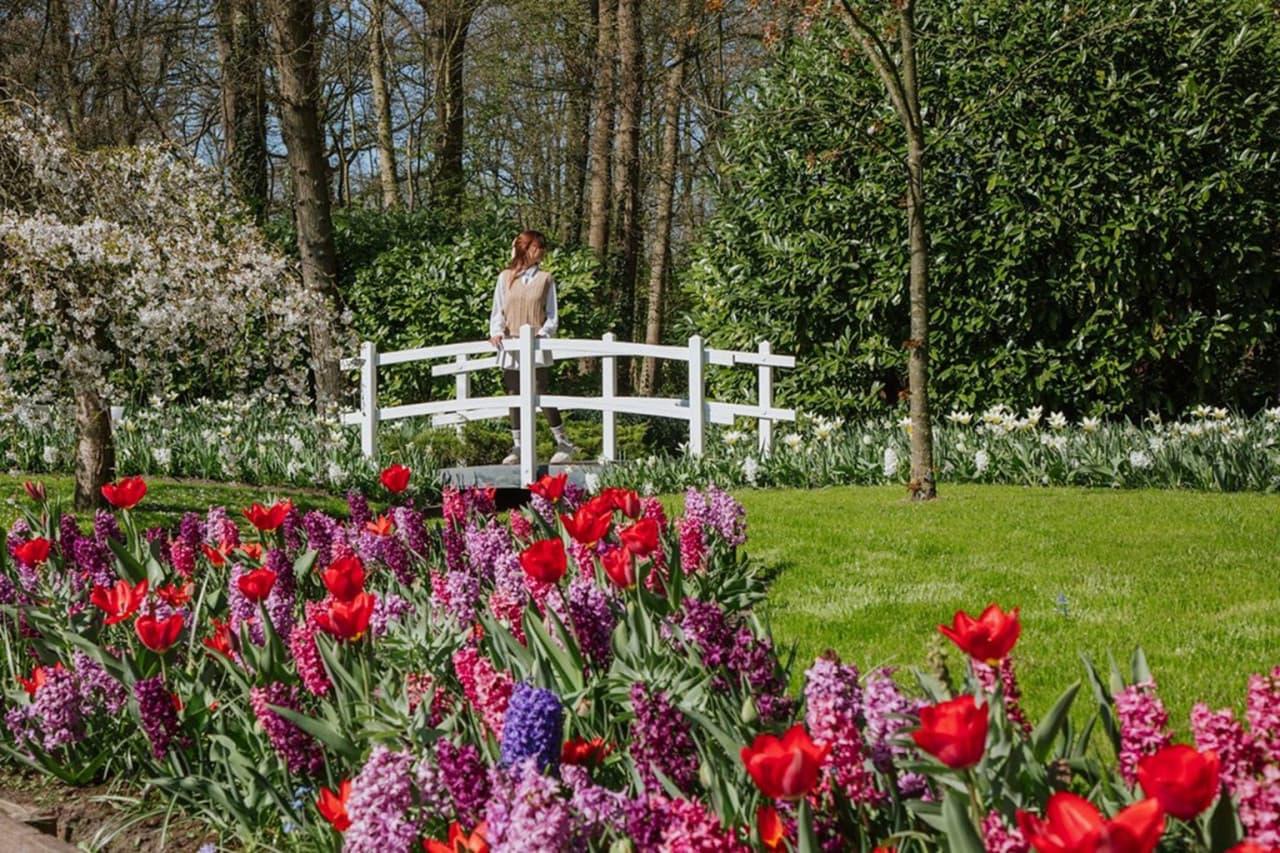 Keukenhof Gardens Ticket with Round Trip Bus Transfer from Amsterdam - تصویر 2