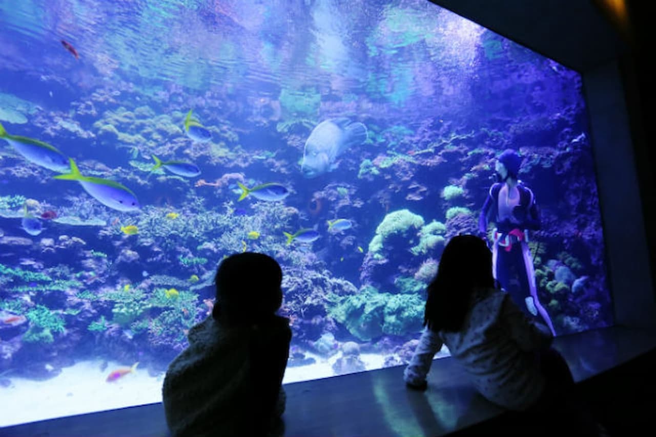 Oita Marine Palace Aquarium Umitamago Ticket - تصویر اصلی