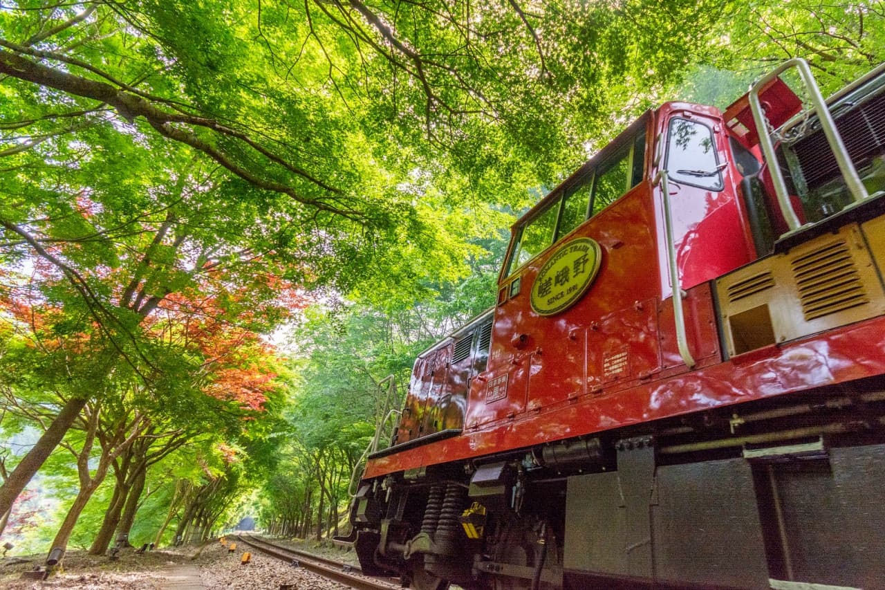 Sagano Romantic Train - تصویر 18