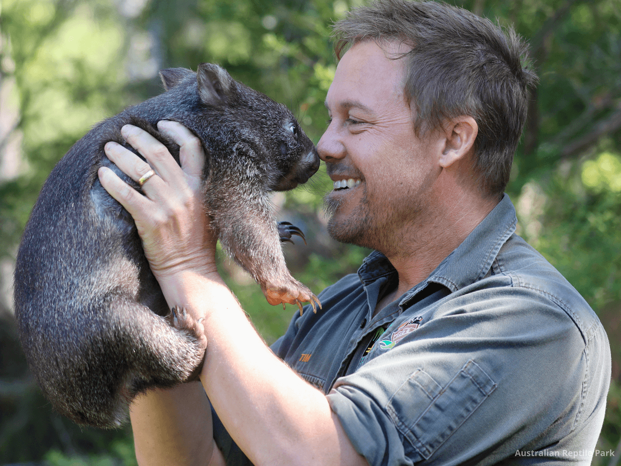 Australian Reptile Park - تصویر 46