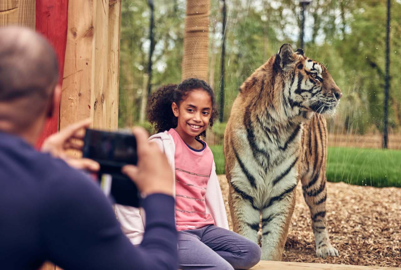 Chessington World of Adventures Ticket - تصویر 18