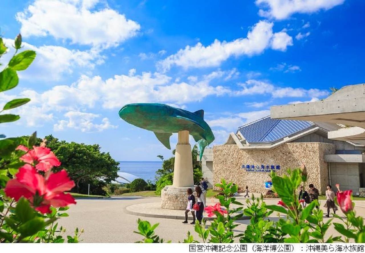 Okinawa Churaumi TokuToku 5 Pass - تصویر اصلی