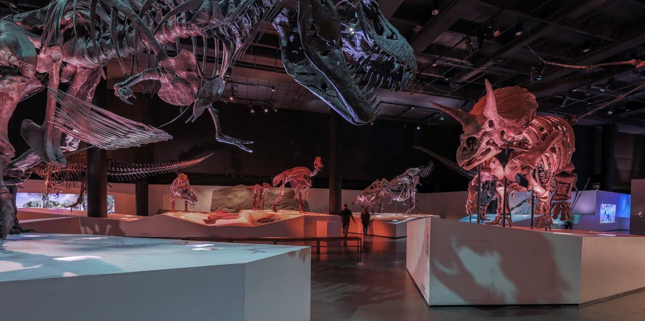 Houston Museum of Natural Science Ticket - تصویر اصلی