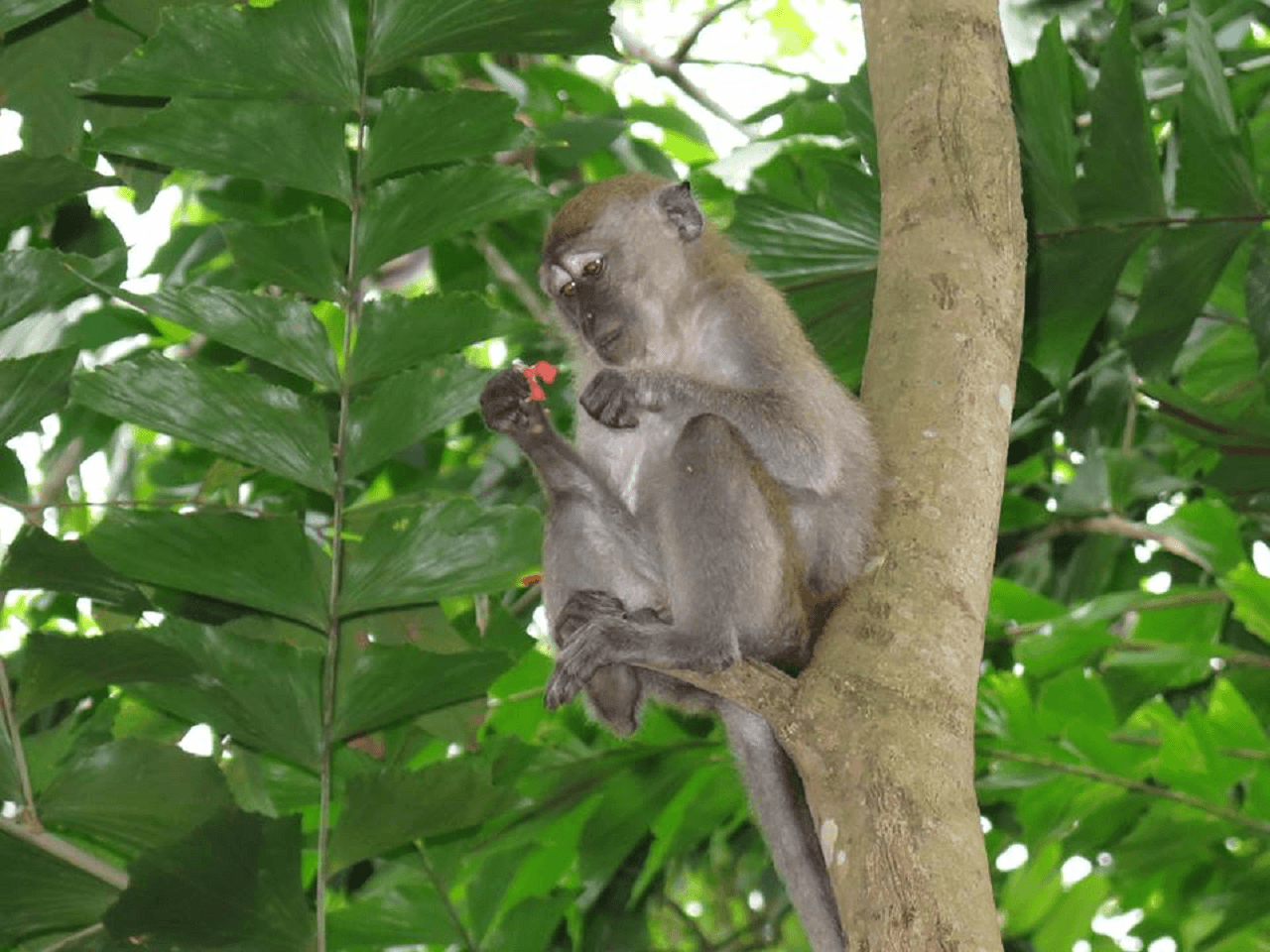 Pulau Ubin Cycling Tour - تصویر 17
