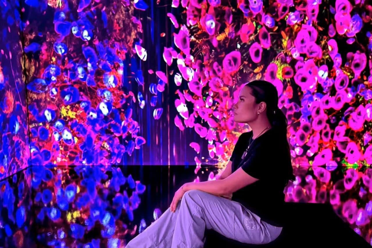 iMUSEUM Ticket - تصویر اصلی