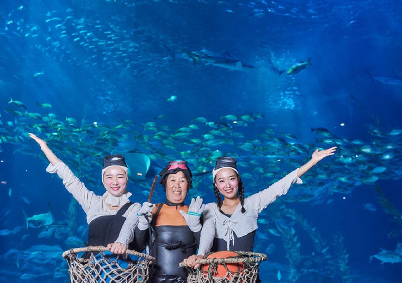 Aqua Planet Jeju Aquarium Ticket - تصویر 8