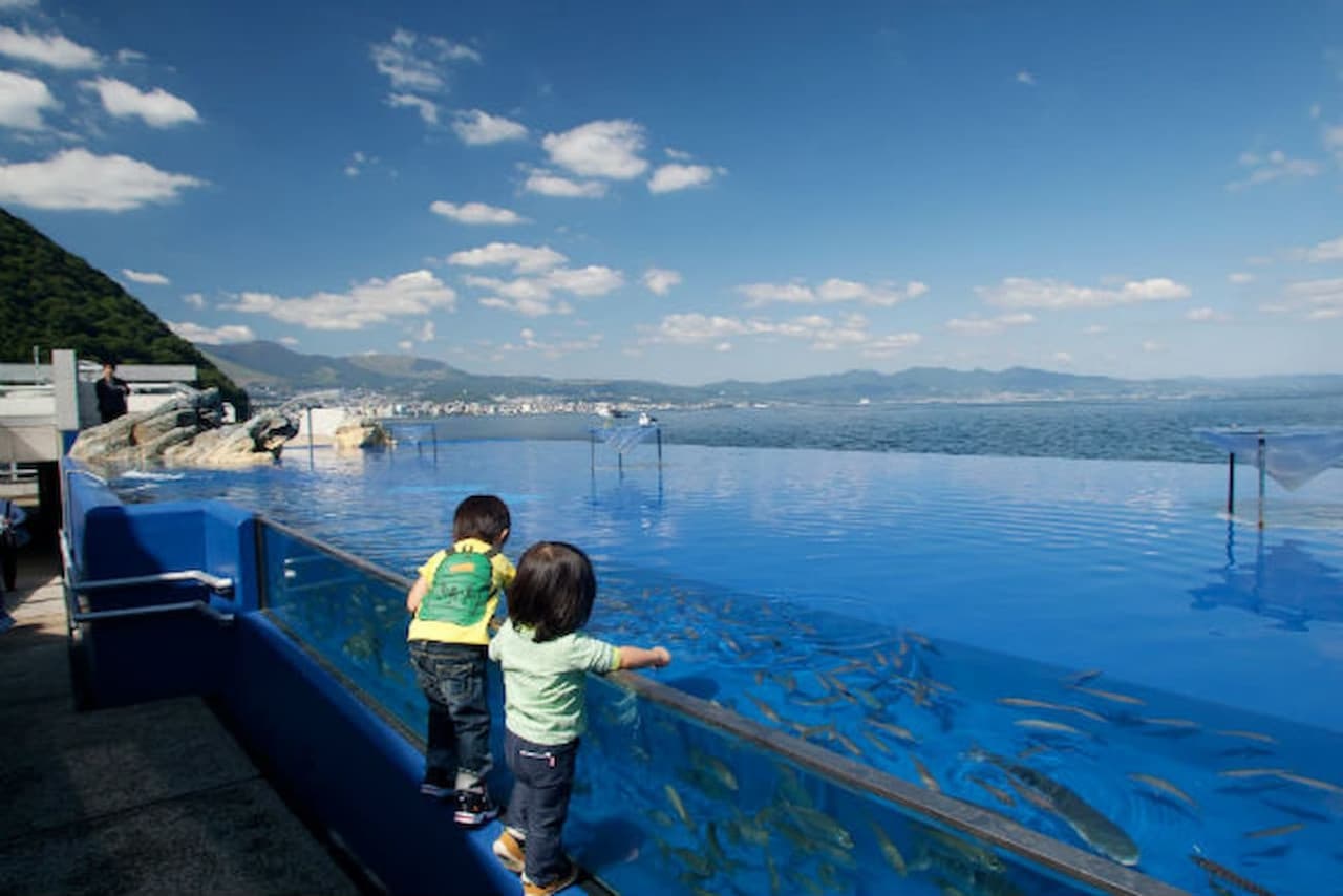 Oita Marine Palace Aquarium Umitamago Ticket - تصویر 6