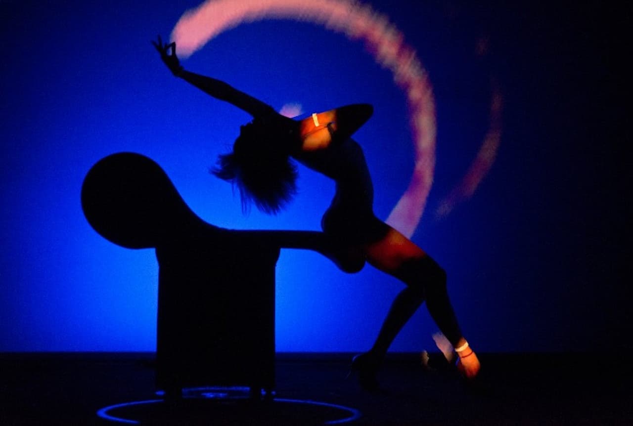 Crazy Horse Paris Show Ticket - تصویر 5