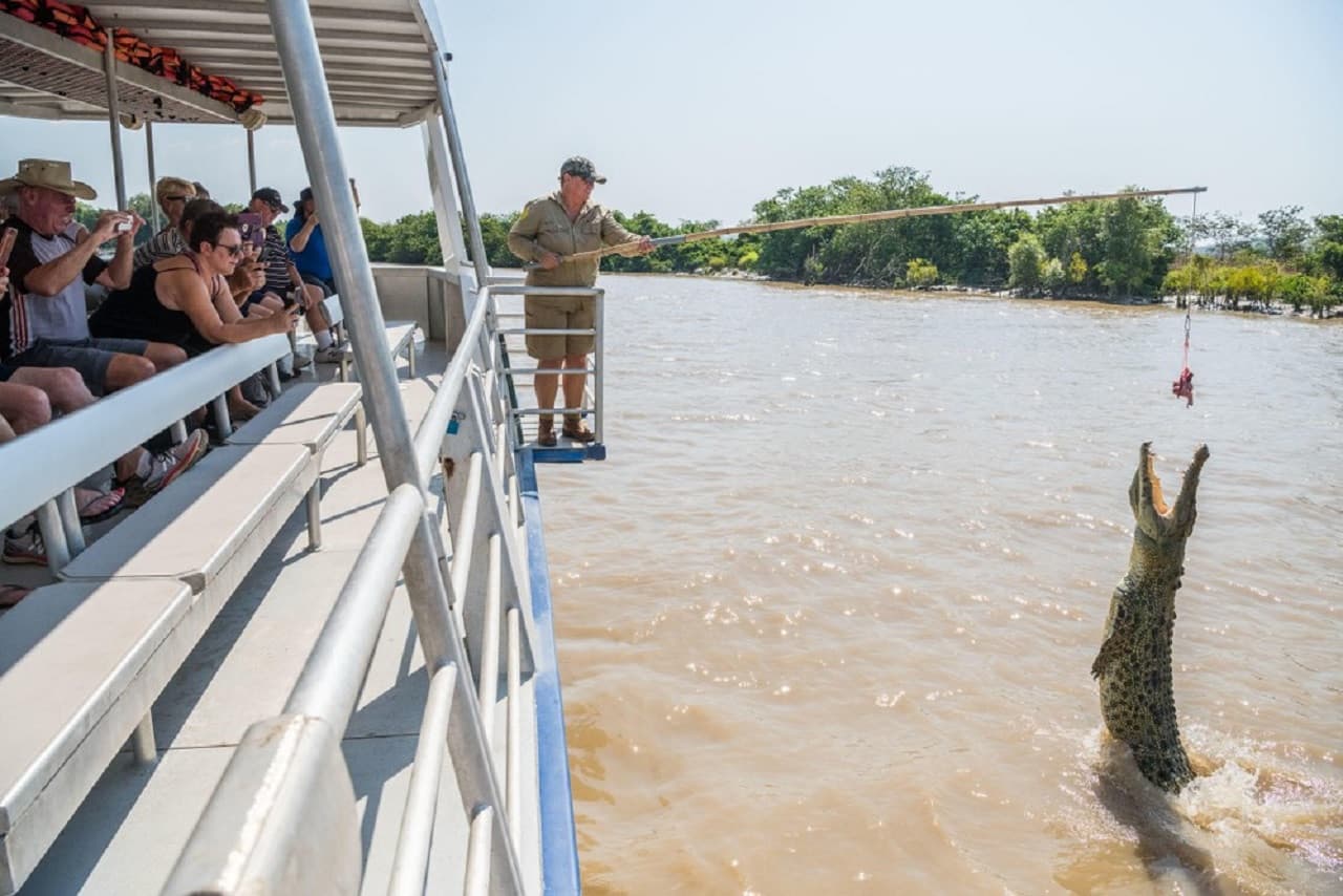 Spectacular Jumping Crocodile Cruise - تصویر اصلی