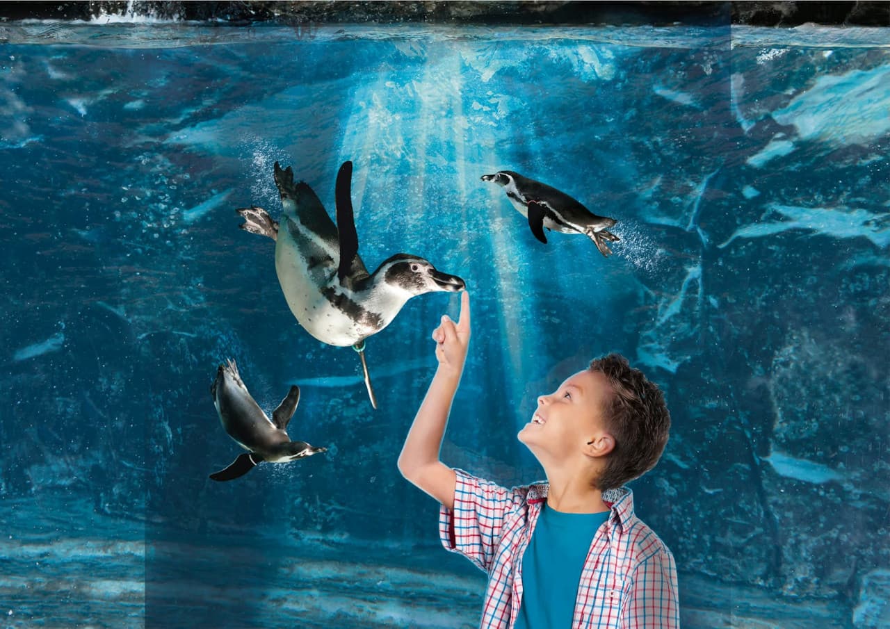Aquarium of Cattolica Ticket - تصویر اصلی