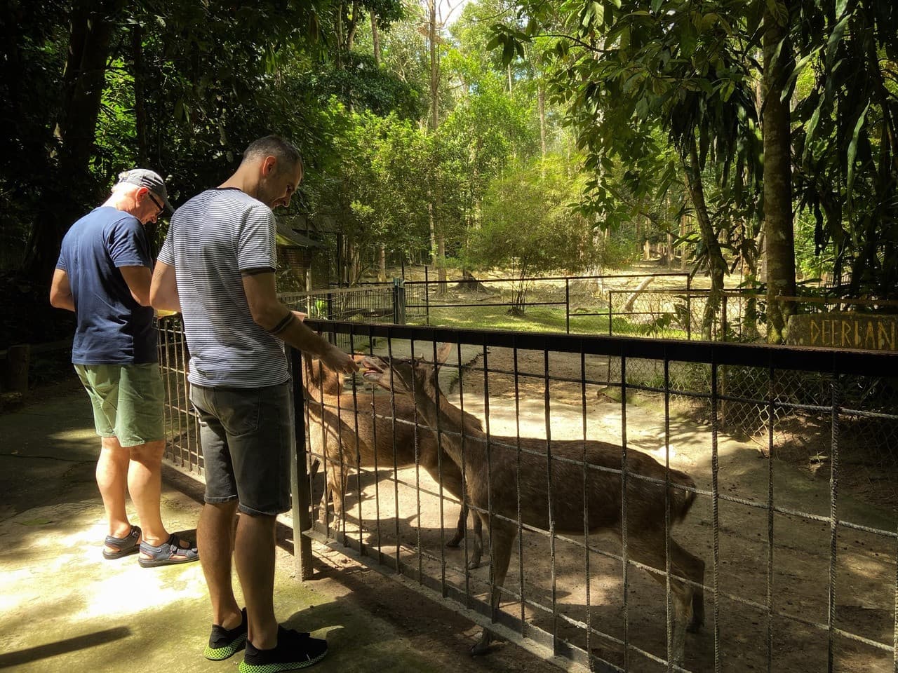 Batu Caves and Kuala Gandah Elephant Sanctuary Full-Day Tour from Kuala Lumpur - تصویر 9