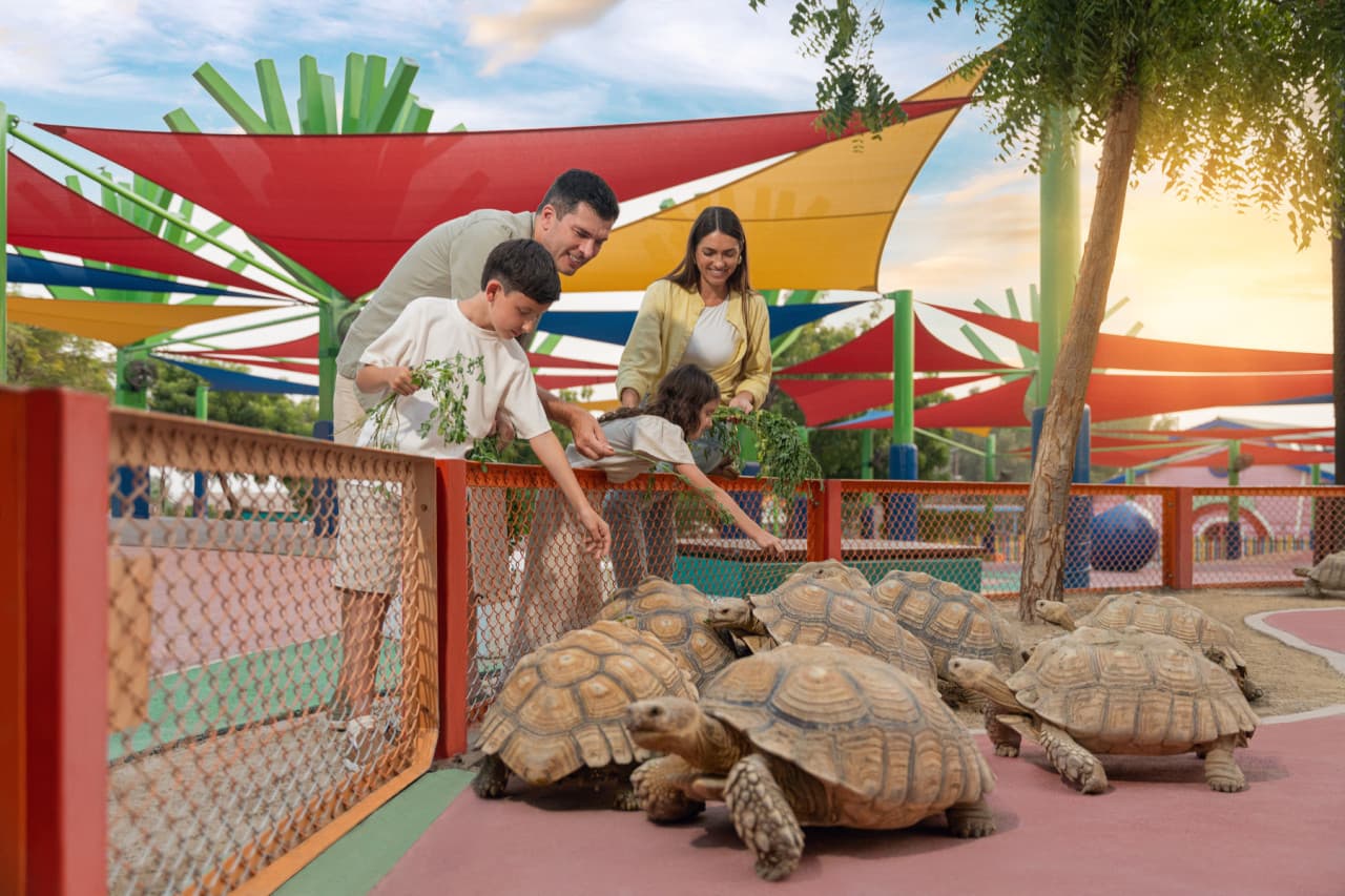 Dubai Safari Park Ticket - تصویر 13
