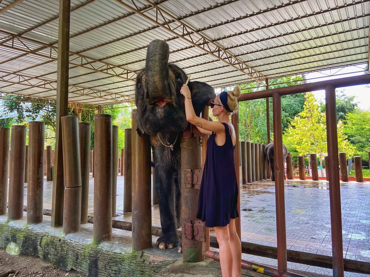 Batu Caves and Kuala Gandah Elephant Sanctuary Full-Day Tour from Kuala Lumpur - تصویر 5