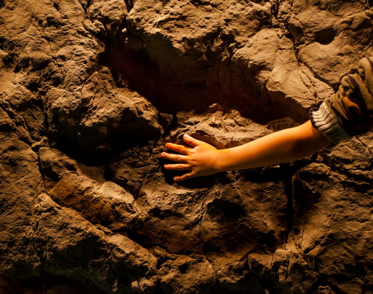 Dinopolis Teruel: Entry Ticket - تصویر 2