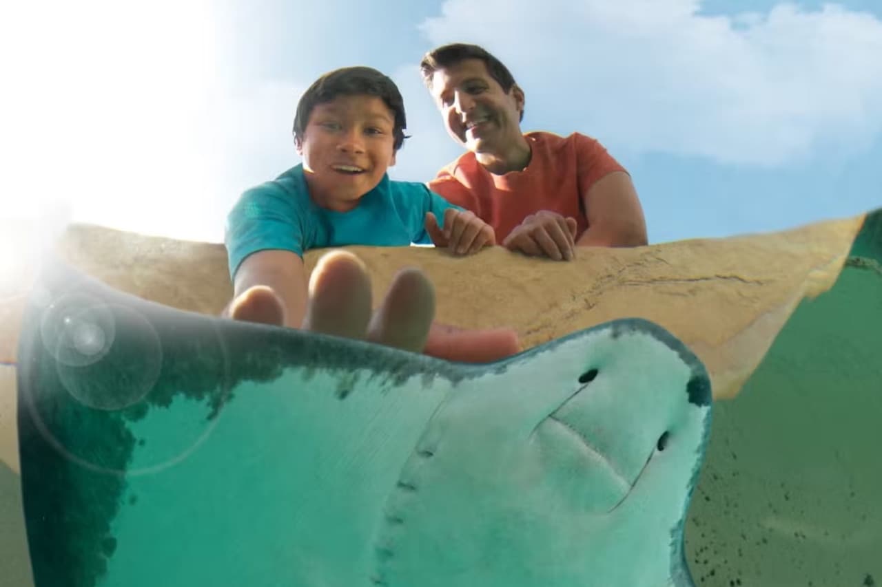SeaWorld San Diego Ticket: Direct Entry - تصویر 14
