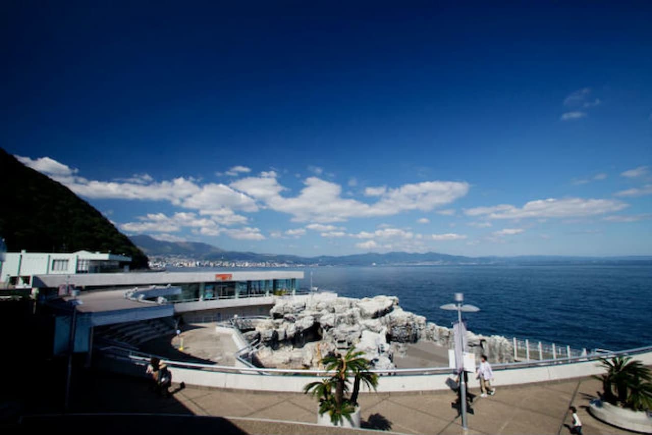 Oita Marine Palace Aquarium Umitamago Ticket - تصویر 10
