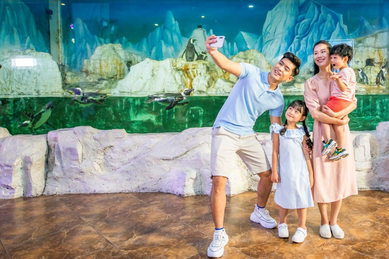 Vinpearl Aquarium Times City Hanoi Ticket - تصویر 3