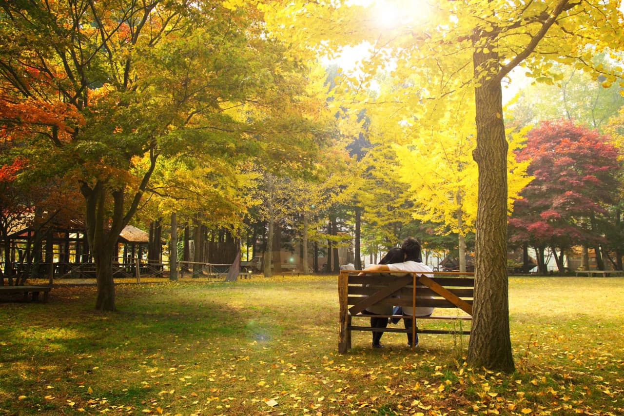 Nami Island Shuttle Bus Transfers from Seoul - تصویر 2