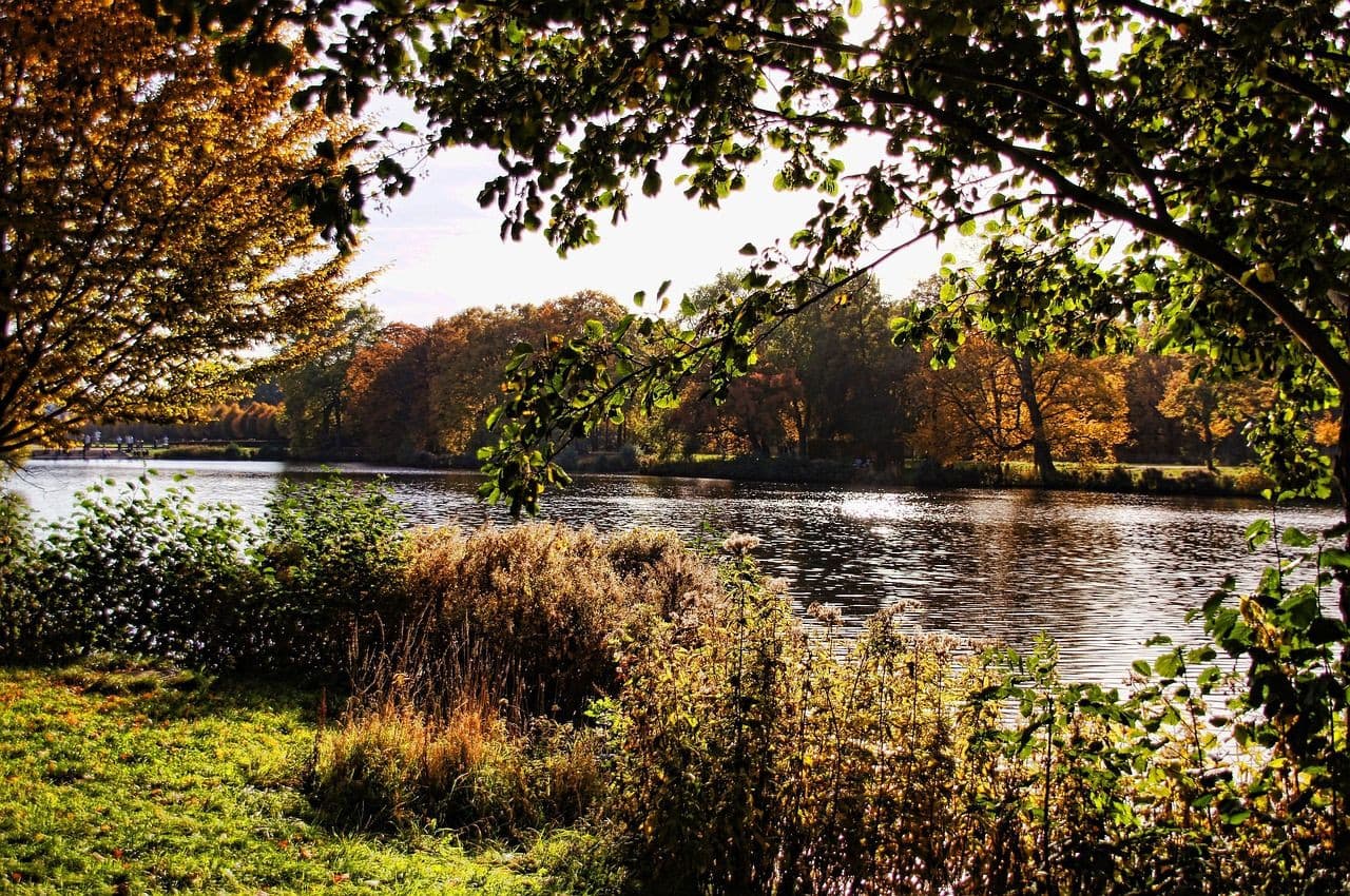 Charlottenburg Palace and Gardens Ticket - تصویر 5