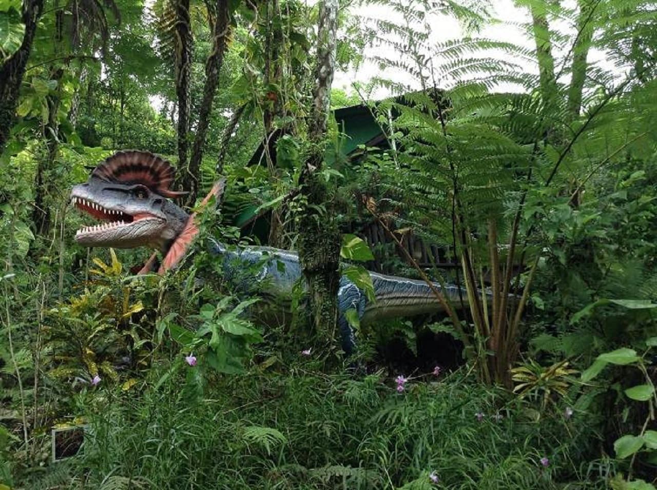Okinawa Dino Park Yanbaru Subtropical Forest Ticket - تصویر 5