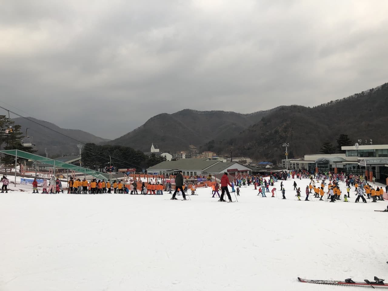 Jisan Forest Ski Resort Full-Day Tour from Seoul - تصویر 6