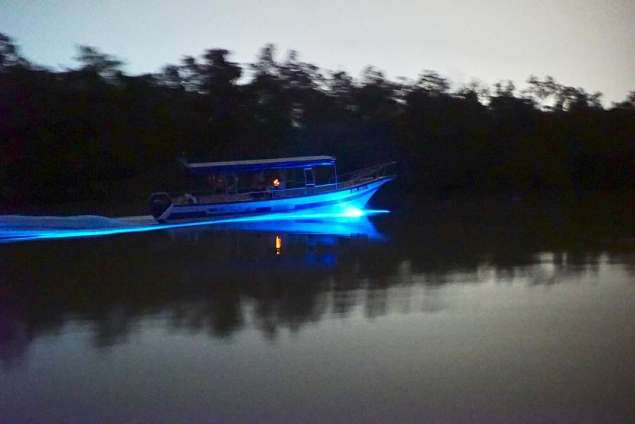 Blue Tears Boat Cruise in Kuala Selangor - تصویر 4
