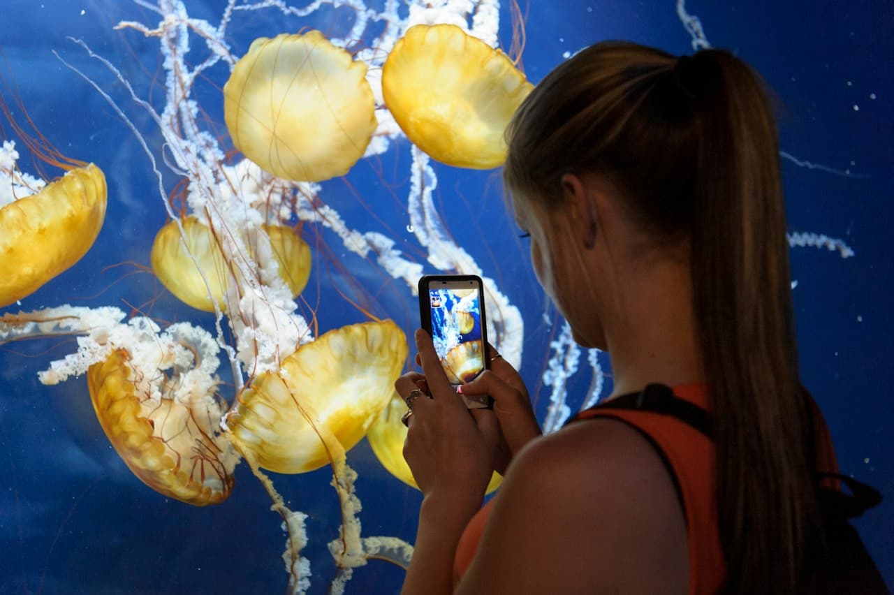 San Francisco CityPASS: Admission to 4 Top Attractions - تصویر 4