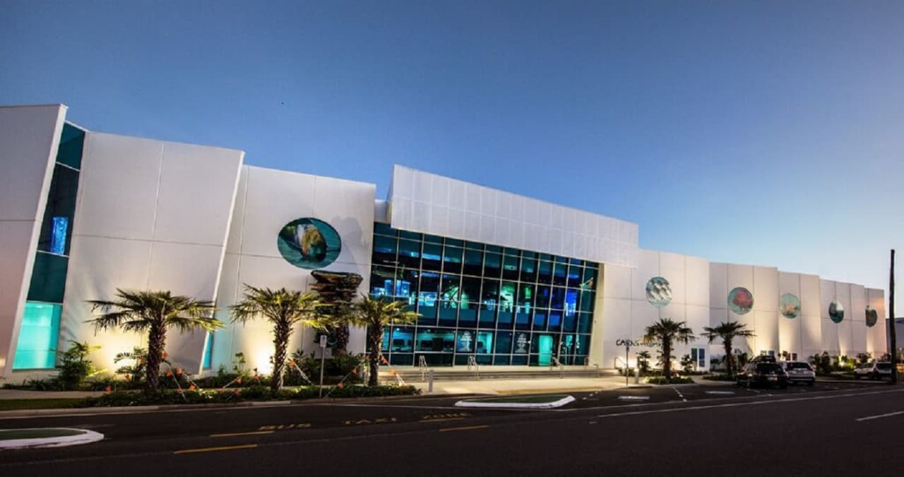 Cairns Aquarium Ticket - تصویر 7