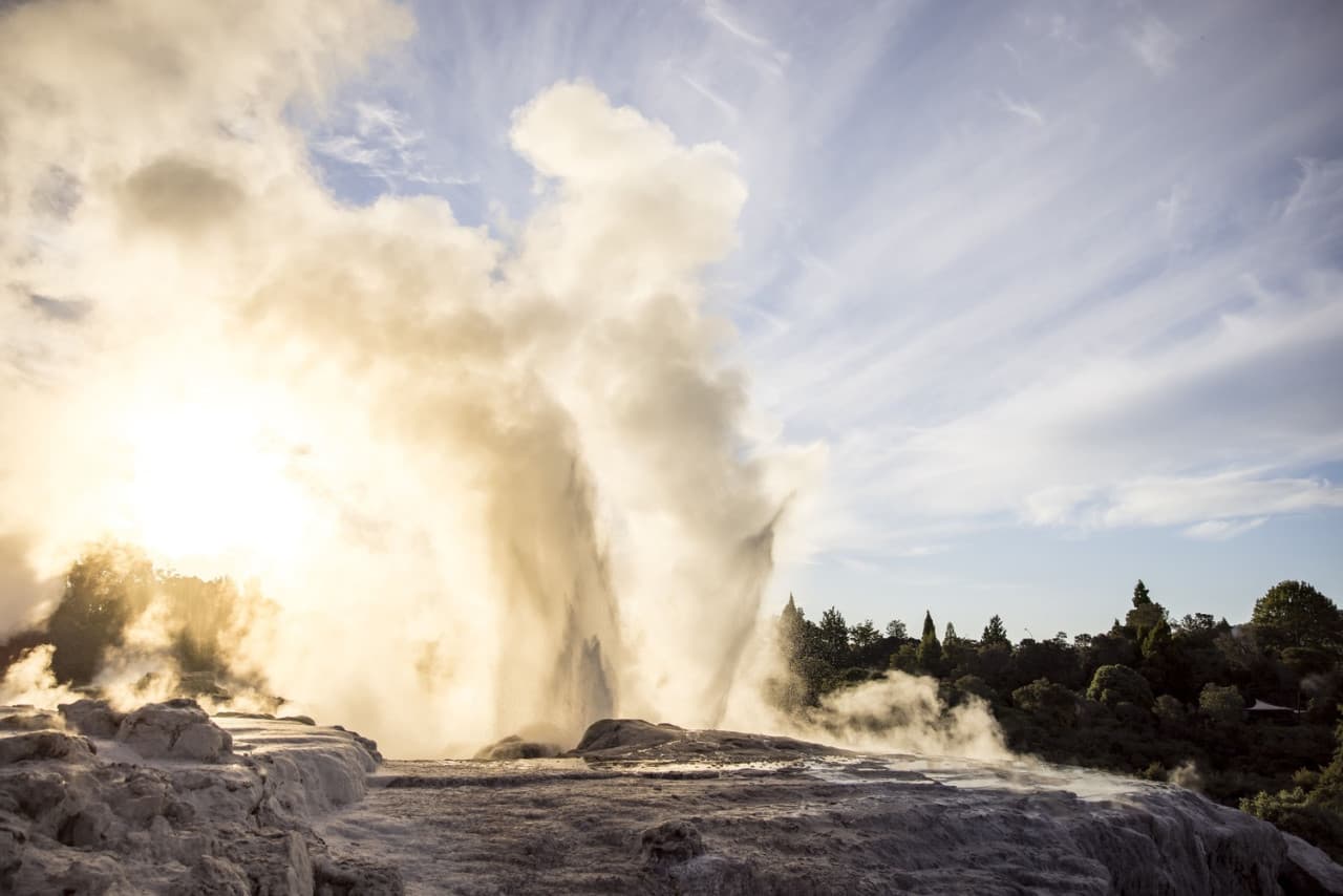 Te Puia Geothermal Valley Guided Tour - تصویر 2