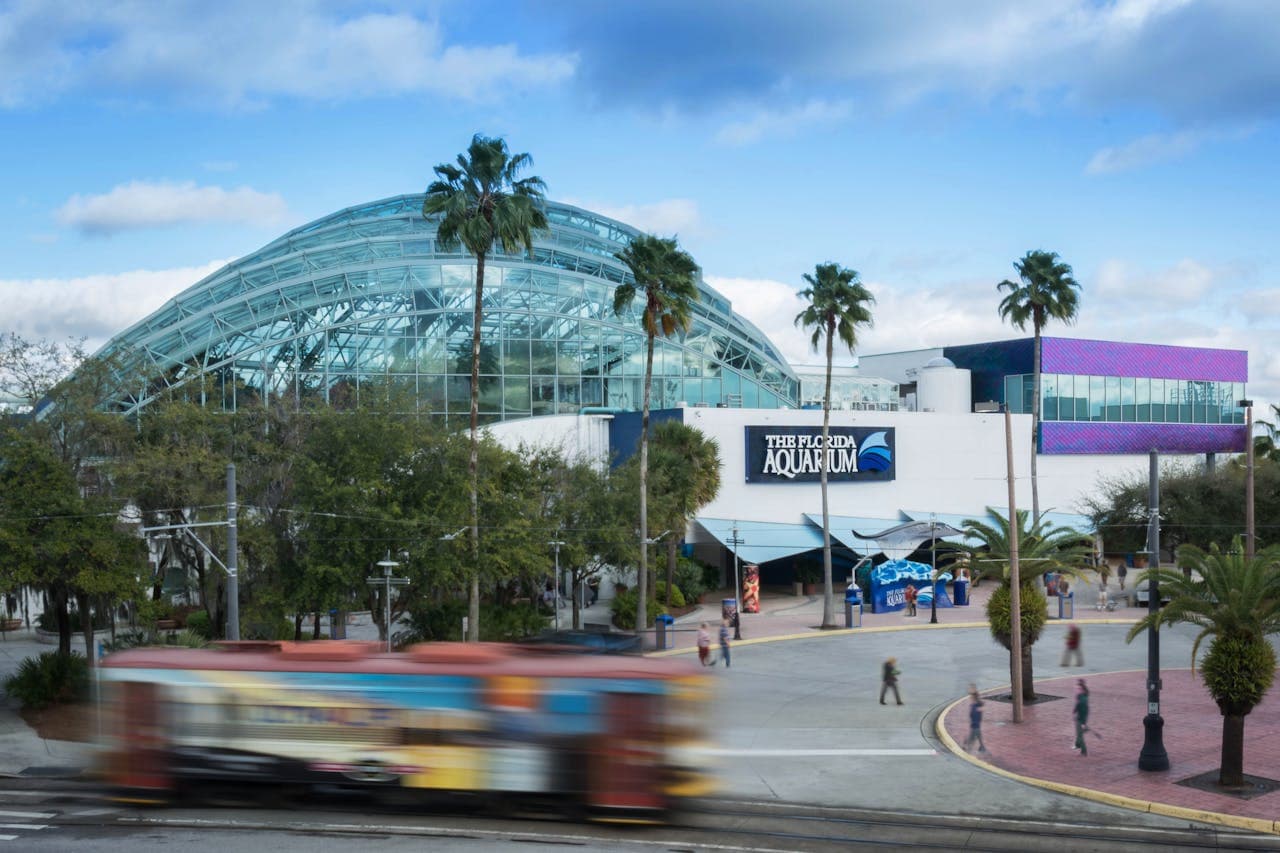 The Florida Aquarium Ticket - تصویر اصلی