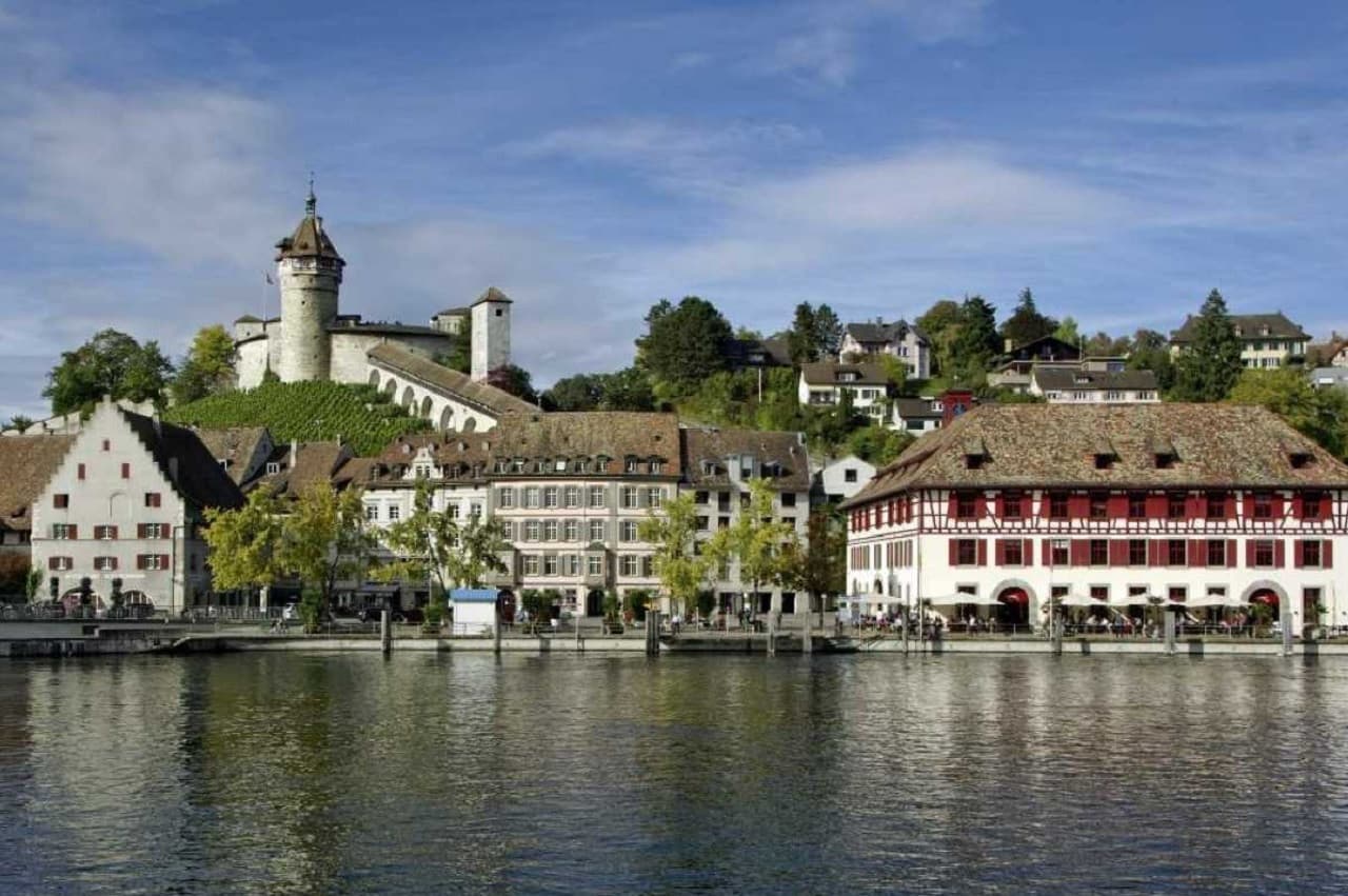 Rhine Falls Tour from Zurich - تصویر 4