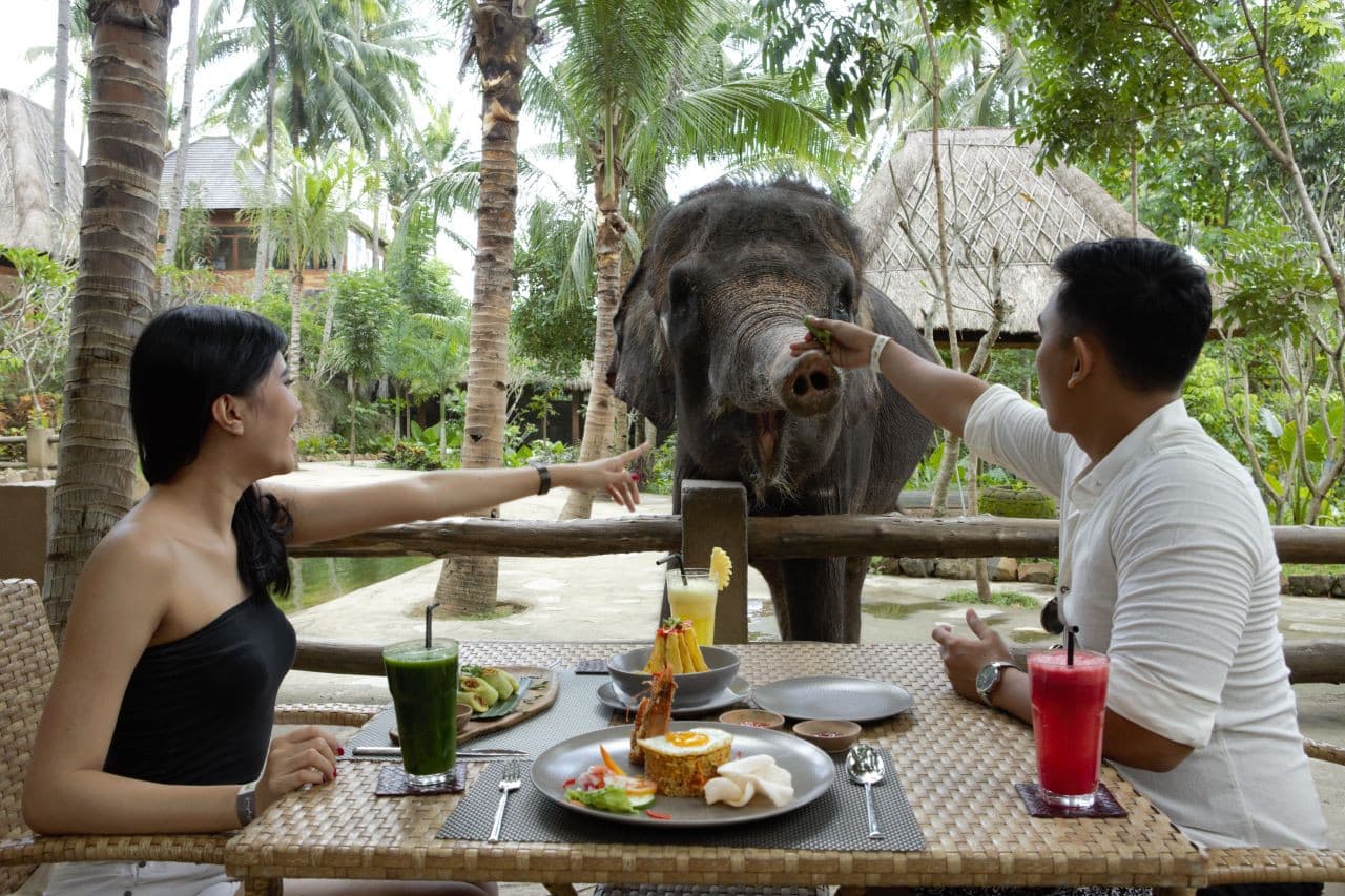Lombok Wildlife Park Elephant Bath Experience - تصویر 2