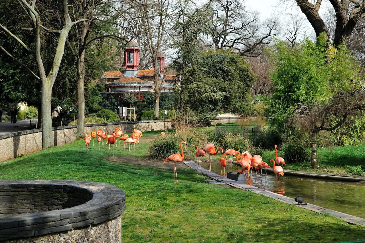 Ménagerie, Zoo of the Jardin des Plantes - تصویر 4