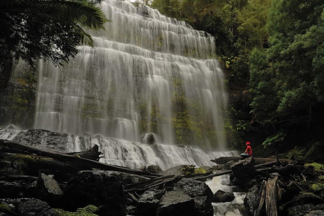Russell Falls Tour from Hobart - تصویر 8
