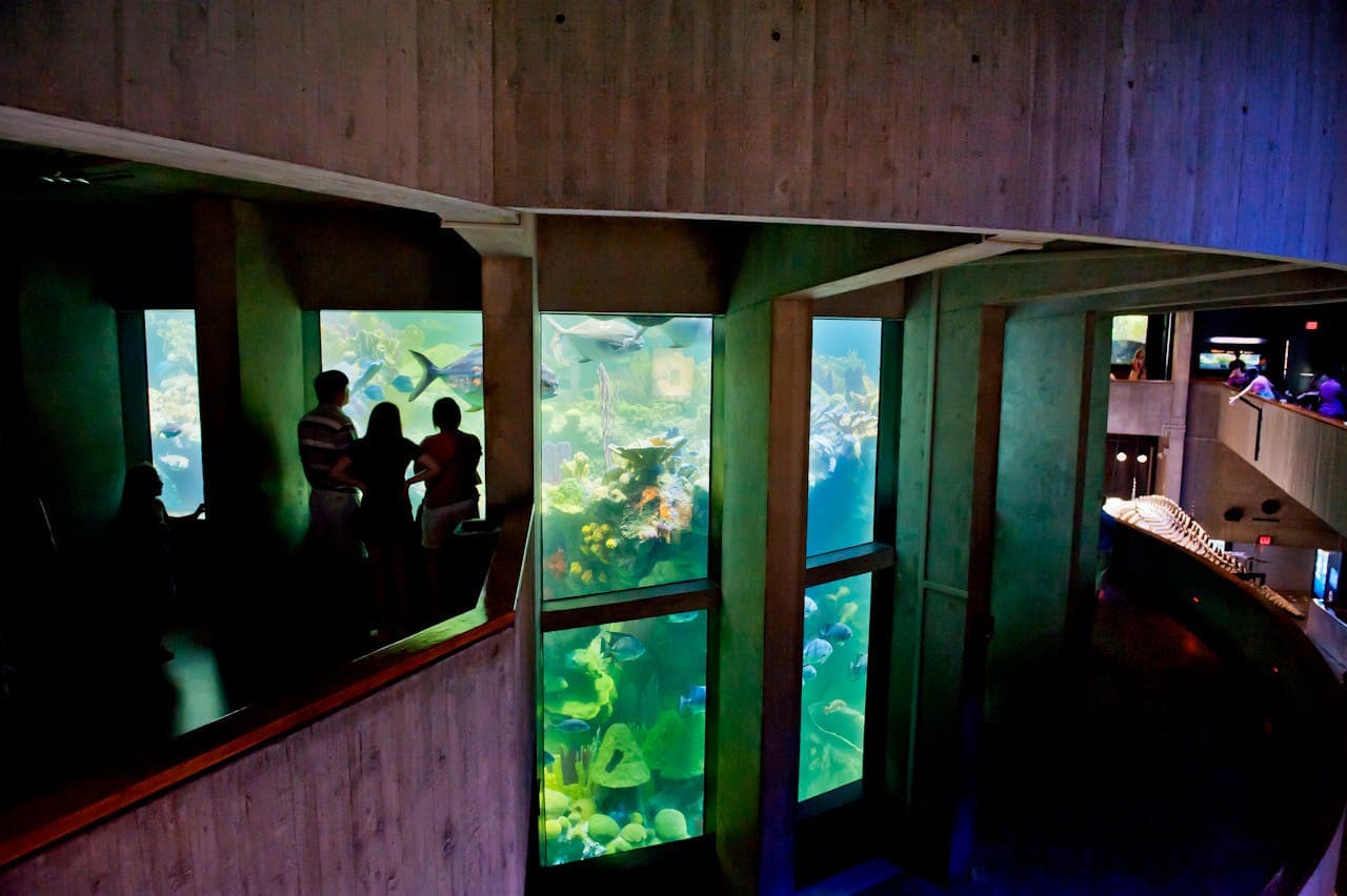 New England Aquarium Ticket - تصویر 11